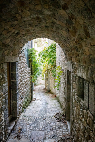 Fototapeta Naklejka Na Ścianę i Meble -  Le village de Labeaume en Ardèche