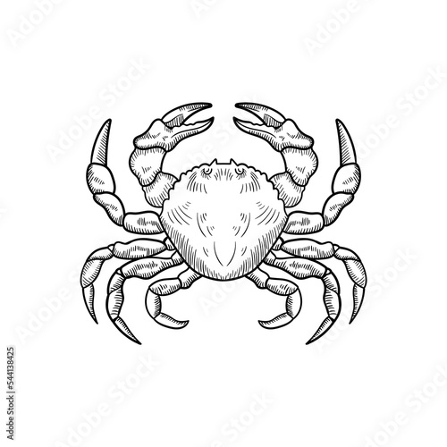 Vector black and white illustration of crab