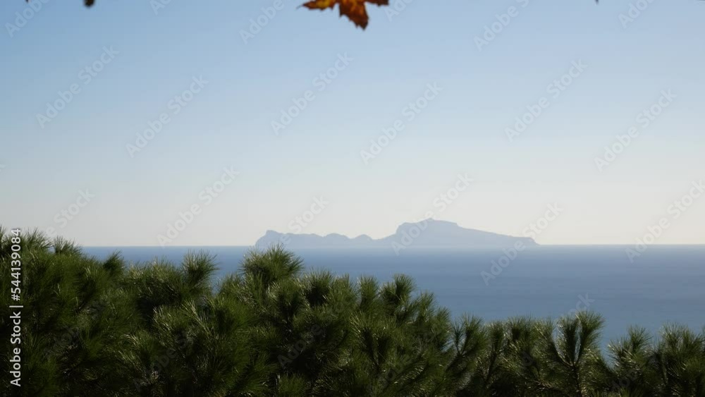 the island of Capri seen through trees from Naples, Italy. the island of Capri seen through trees from Naples, Italy.
