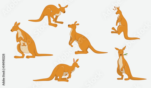 Set of kangaroo in 6 action