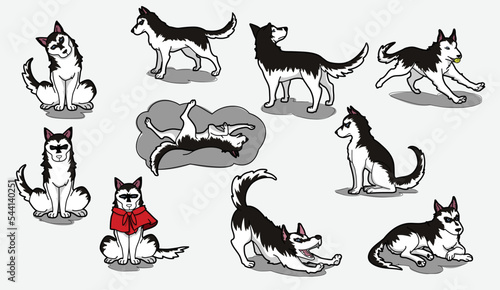 Siberian husky cartoon set in many action