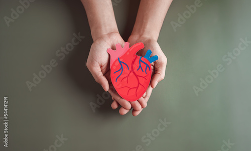 hands holding red heart anatomy donation paper cut, health care, organ donation, family life insurance, world heart day, world health day, praying concept