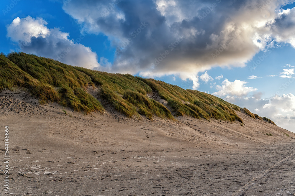 Dunes, grown with Beach Grass, on a North Sea beach at Ameland.