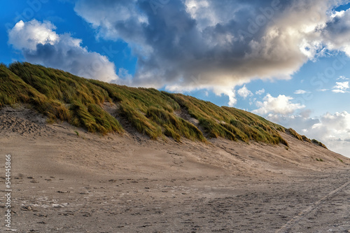 Dunes  grown with Beach Grass  on a North Sea beach at Ameland.