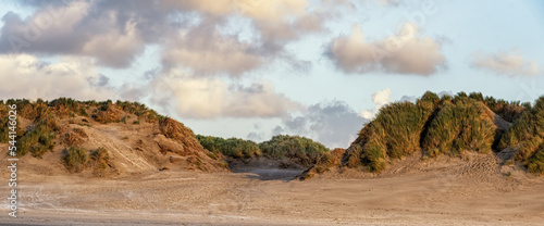Dunes, grown with Beach Grass, on a North Sea beach at Ameland. photo