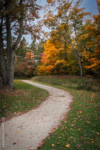 Path to Autumn © Jason