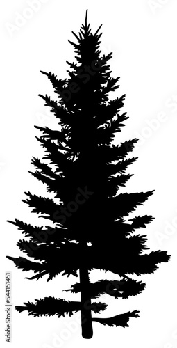 Fir Tree Silhouette