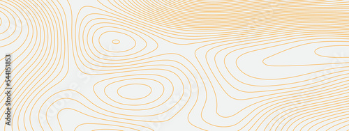 Abstract orange wave paper curved reliefs background, Vector contour topographic map background. Topographic linear background with copy space. Vector illustration.