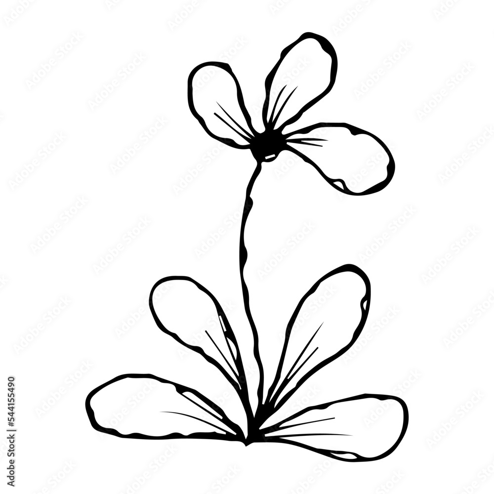 hand drawn doodle plant element for floral design concept