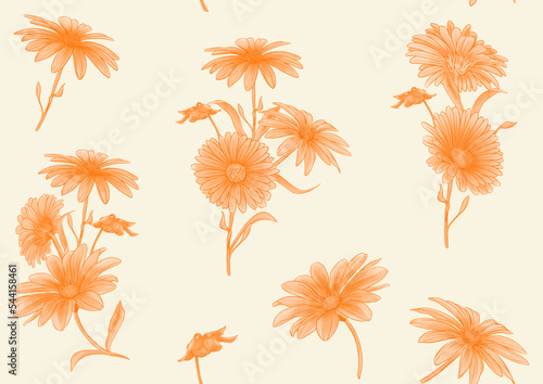 Calendula medicinal herbs and flowers seamless pattern, background. Vector illustration.