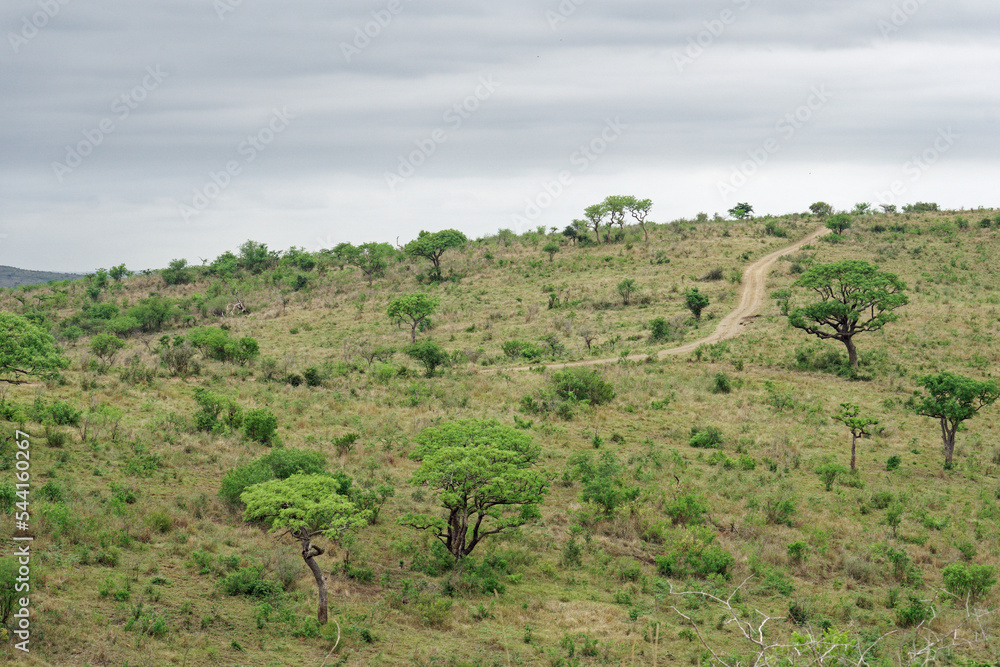 Landschaft im Hluhluwe-iMfolozi-Park, KwaZulu-Natal, Südafrika Landschaft im Hluhluwe-iMfolozi-Park, KwaZulu-Natal, Südafrika