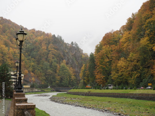 Autumn in the mountains of Krasnaya Polyana. embankment of mzymta is a beautiful autumn forest and rocks photo