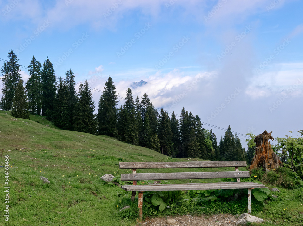 Green forest, meadow, blue sky and white clouds and with a bench for rest in the foreground.