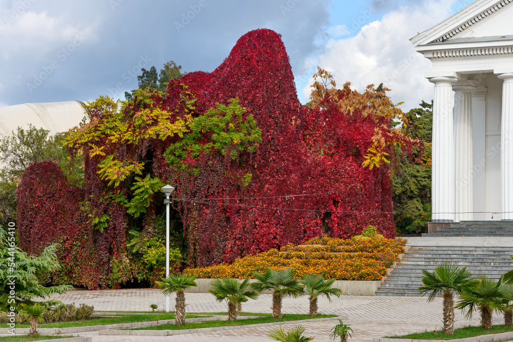 Obraz premium Bright autumn plans in park near Dorian portico of building.
