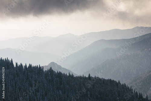 Landscape in the winter in the mountains. View of cloudy weather over wooded snowy slopes covered by fog and clouds.