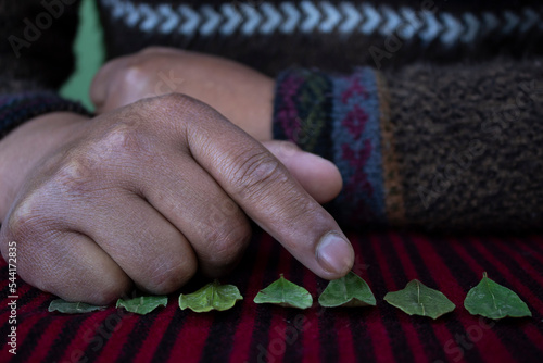 The hand of the indigenous, jilata, yatiri, shaman, interpreting the reading of the traditional coca leaf. Traditional and ancient practice in the Andean zone of Latin America. positive and negative photo