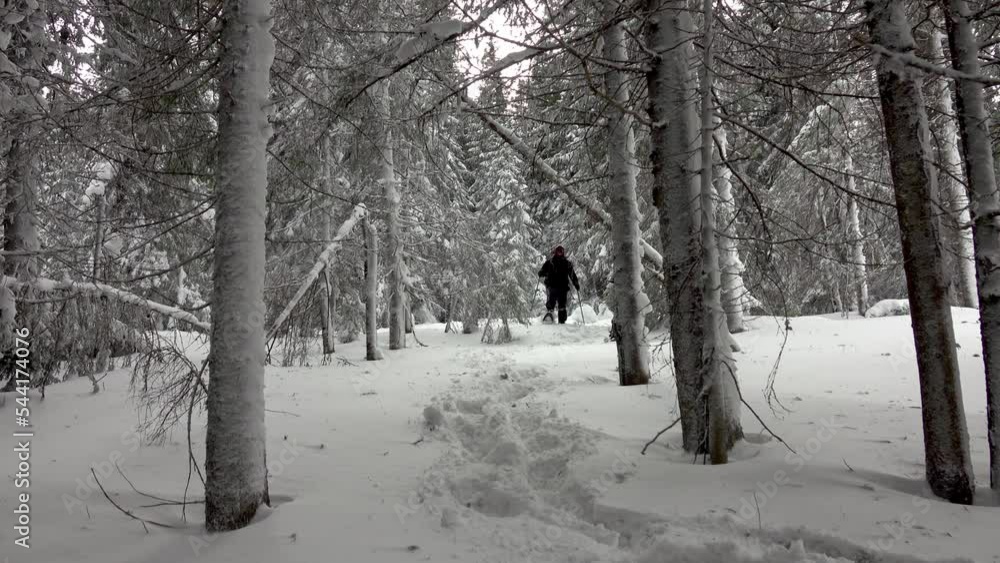 Hiker With Snowshoes And Backpack Walking In Mountain Winter Forest, Covered With Deep Snow. Winter Sky With Moving Clouds Hiker With Snowshoes And Backpack Walking In Mountain Winter Forest, Covered With Deep Snow. Winter Sky With Moving Clouds