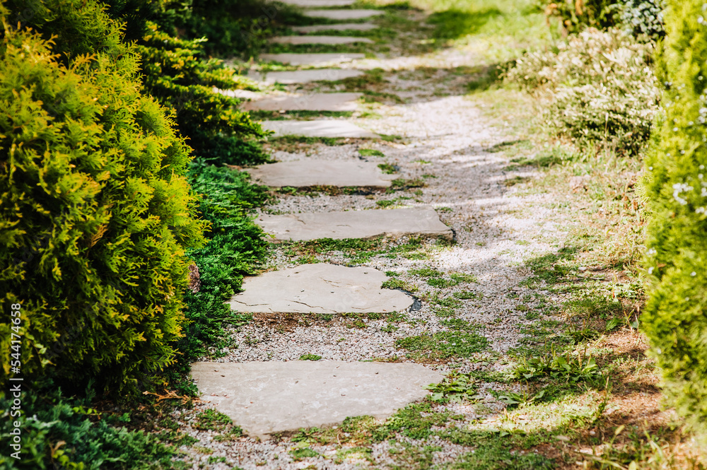 tone path made of cobblestones, pebbles in the garden, park with green plants. Photography of nature. tone path made of cobblestones, pebbles in the garden, park with green plants. Photography of nature.