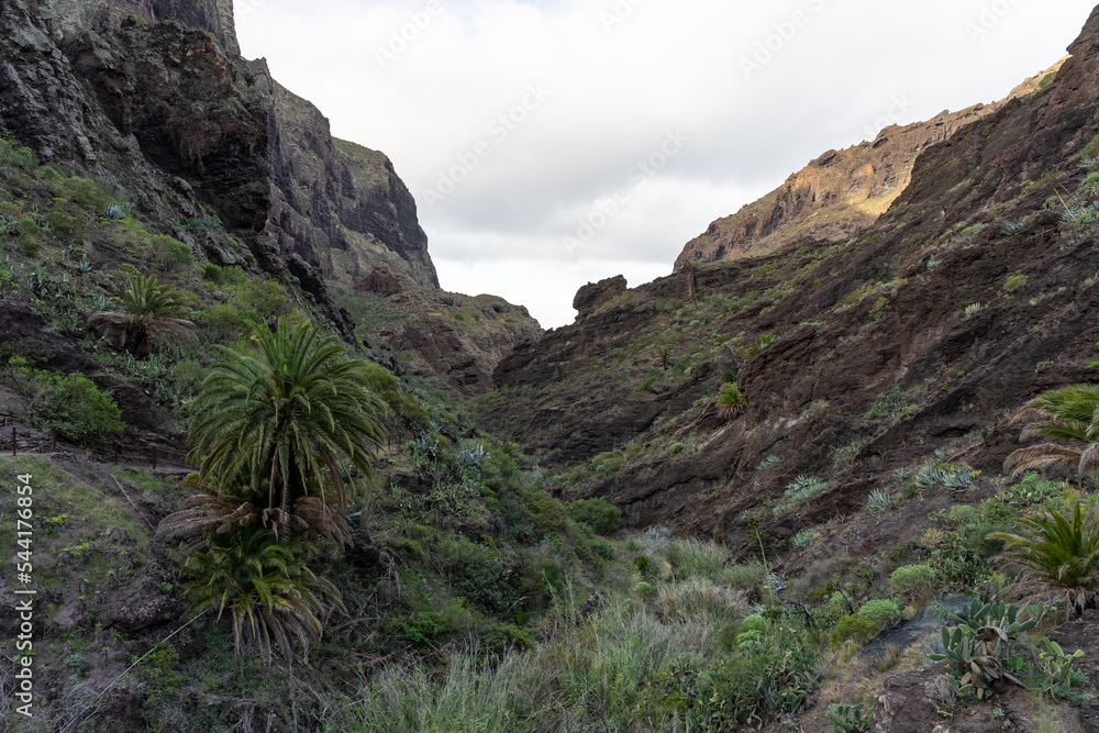 Fototapeta premium Landscape of Masca gorge. Tenerife. Canary Islands. Spain.