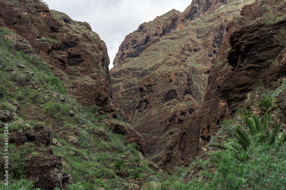 Obraz premium Landscape of Masca gorge. Tenerife. Canary Islands. Spain.