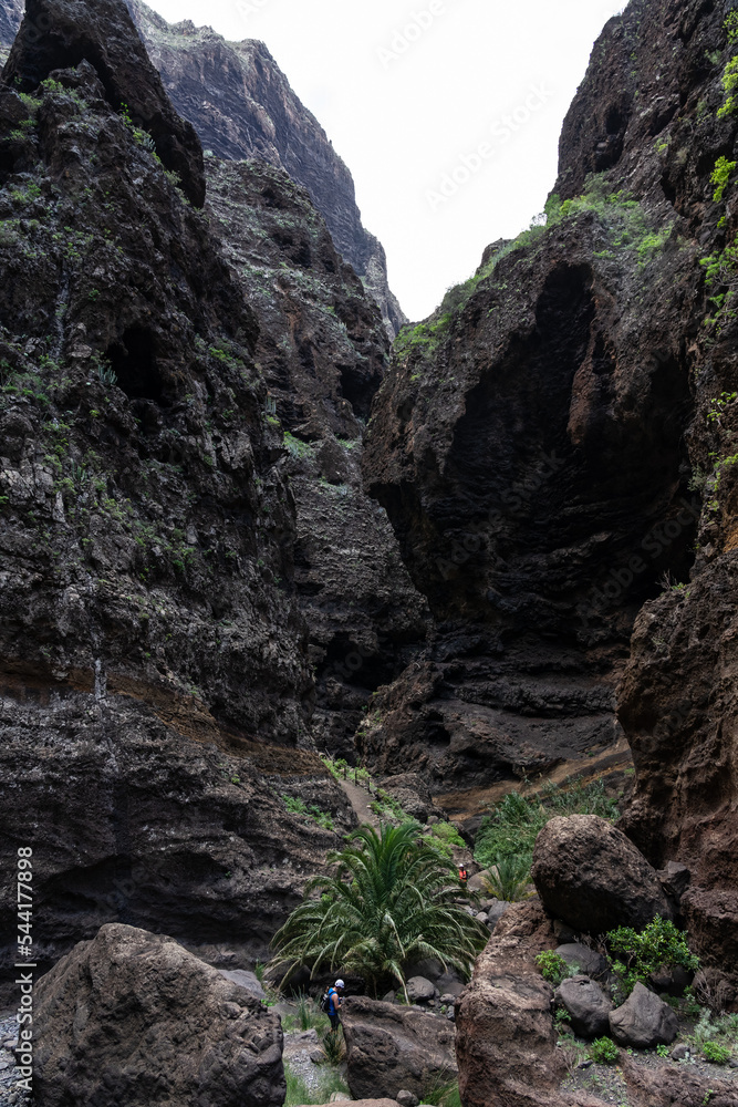 Landscape of Masca gorge. Tenerife. Canary Islands. Spain.