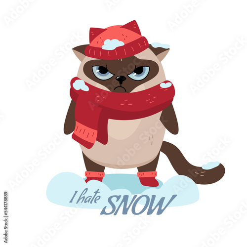 Cute Siamese cat in a knitted hat and scarf