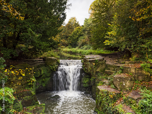 фотографія A waterfall in Jesmond Dene, Newcastle upon Tyne, UK