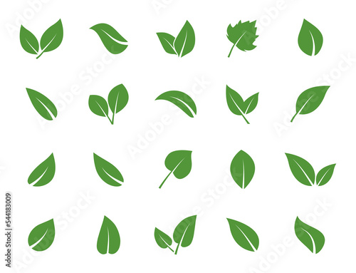 Leaves icon set. Green leaf icons. Leaves of trees and plants. Vector elements for eco, bio and vegan logos. Vector illustration.