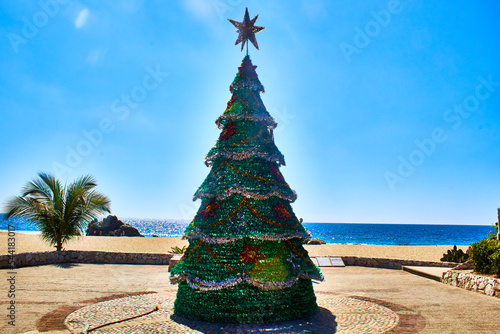 pine tree with beach and ocean in the background, sunny day in zicatela, puerto escondido oaxaca 
