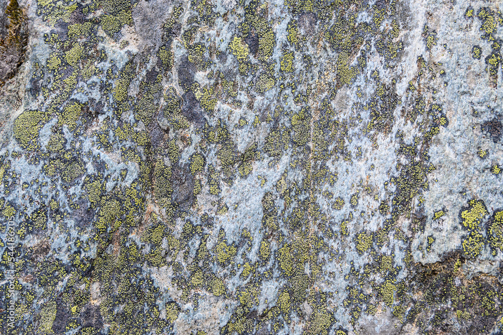 Smooth stone face growing lichen in the wild, as a nature background
Smooth stone face growing lichen in the wild, as a nature background