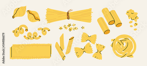 Various pasta types set. Shapes of noodles like spaghetti, linguine, shell, farfalle, kanelone, lasagne, elbows, fettuccine, macaroni, penne, rigatoni. Italian homemade food concept. Isolated vector 