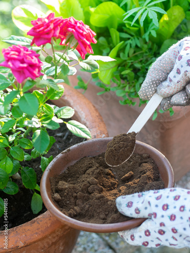 Used coffee grounds as a compost. Great fertilizer for plants and vegetables. Close up..