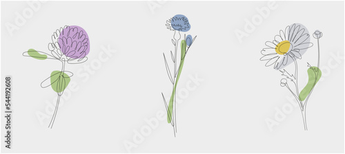 one line art illustration. Flowers, meadow flowers. Chamomile, cornflower, clover. Poster, print. Style minimalism.