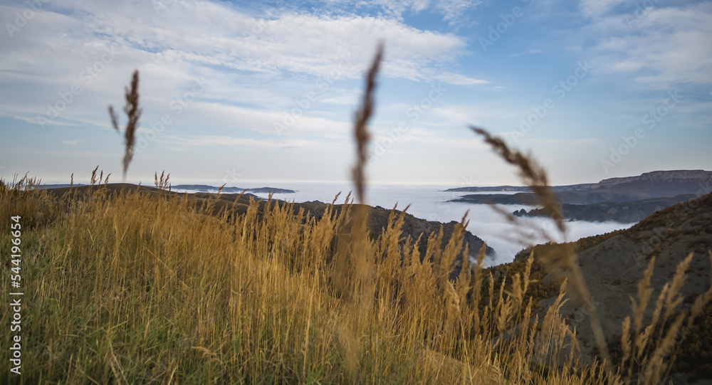 Obraz premium Fog and clouds creep along the bottom of the valley and mountain hills overgrown with vegetation and dry yellow grass in autumn, in the mountains of the Caucasus