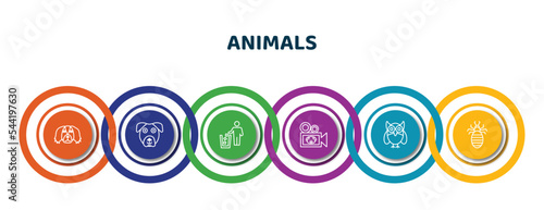 editable thin line icons with infographic template. infographic for animals concept. included pekingese, boxerhead, litter, documentary, big eyes owl, louse icons.
