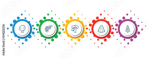 editable thin line icons with infographic template. infographic for nature concept. included sycamore tree, black cherry tree, pignut hickory tree, white spruce american larch icons.