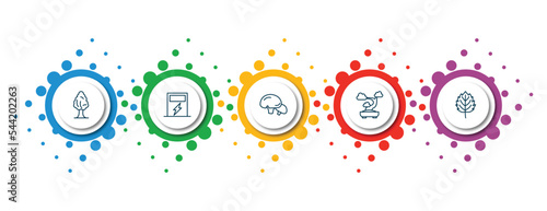 editable thin line icons with infographic template. infographic for nature concept. included black ash tree, eco energy source, mushroom with spots, bonsai tree, bigtooth aspen tree icons.