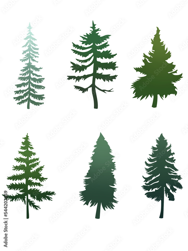 illustrated evergreen tree transparent png