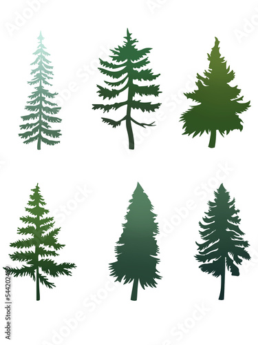 illustrated evergreen tree transparent png © Wakingdream