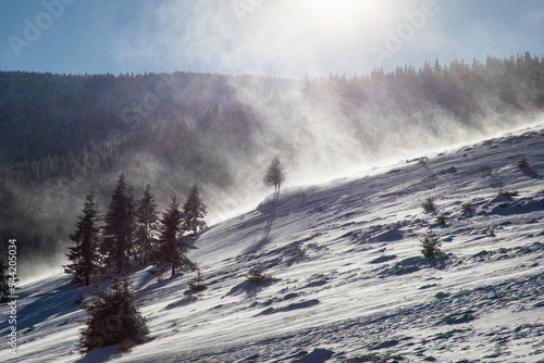 amazing winter landscape with snowy fir trees in the mountains