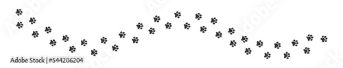 Winding trail of wet or mud pawprints of dog, cat, bear, wolf, raccoon. Paw silhouettes stamps. Steps of running or walking animals isolated on white background. Vector graphic illustration © vikusha_art