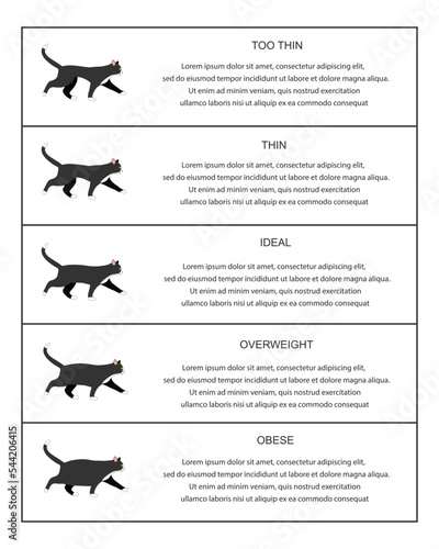 Cat weight chart infographic table. Kitties profiles with normal and abnormal body condition. Thin, ideal, overweight and obese feline domestic pets. Vector flat illustration