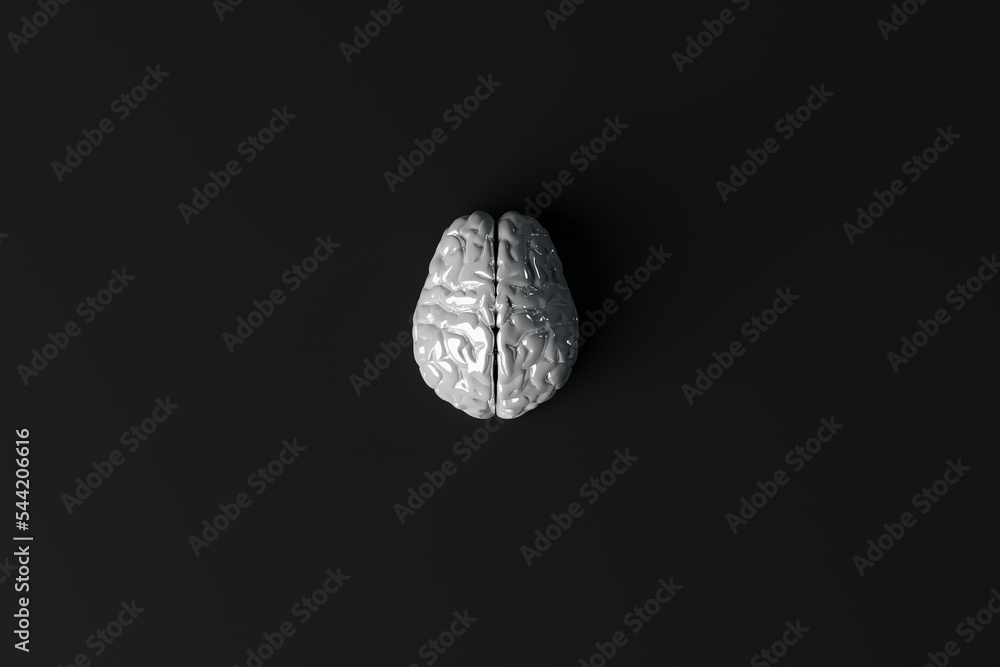 Naklejka premium White brain on an dark background. Business concept, brain storming, looking for answers, ideas. Intelligence. 3d rendering, 3d illustration.