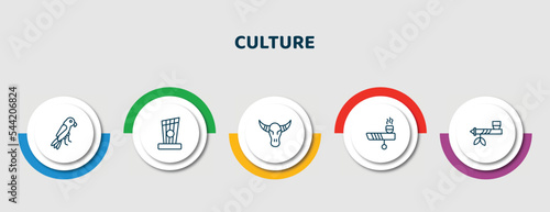 editable thin line icons with infographic template. infographic for culture concept. included aw on a branch, kankles, skull of a bull, calumet, pipe of peace icons.