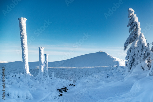 Poland - Sněžka - Śnieżka - Sniezka - 1603 m Summit - High quality Photo - Blue sky  and snow wintertime © Adam