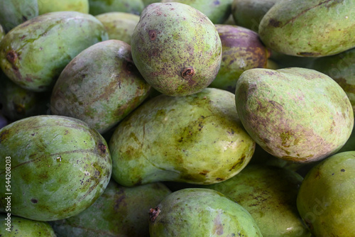 green mangoes. a group of arum mangoes (Mangifera indica) which are sold in traditional markets in Indonesia.