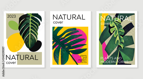 Color harmony plants gradient minimalistic background, botanical banners, jungle cover. Vector illustration