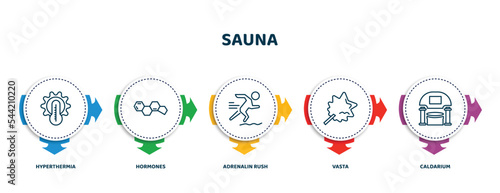 editable thin line icons with infographic template. infographic for sauna concept. included hyperthermia, hormones, adrenalin rush, vasta, caldarium icons.