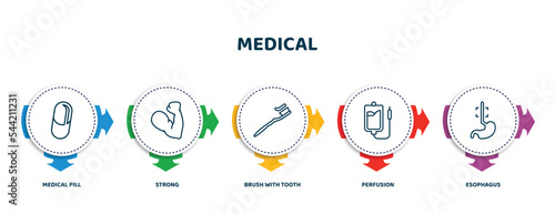 editable thin line icons with infographic template. infographic for medical concept. included medical pill, strong, brush with tooth paste, perfusion, esophagus icons.