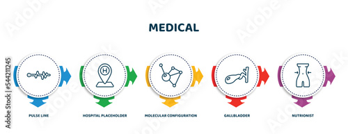 editable thin line icons with infographic template. infographic for medical concept. included pulse line, hospital placeholder, molecular configuration, gallbladder, nutrionist icons.